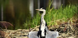 Czy trzeba suszyć włosy przed snem?