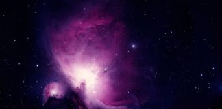 Od czego zacząć naukę robienia rzęs?