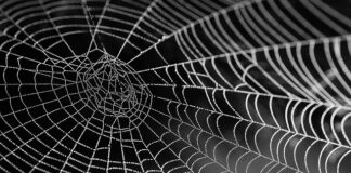 Czy jedwab jest dobry na włosy? Czy jedwab jest dobry na włosy?