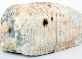 Jak dezynfekować szczotki?