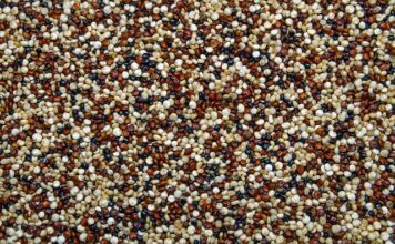 Jak wyciągnąć modzele? Jak wyciągnąć modzele?