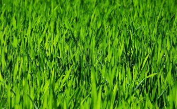 Jak ułożyć plan pielęgnacji twarzy?