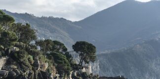 Ile kosztuje zrobienie własnych perfum?