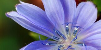 Gdzie kupić dobre zamienniki perfum?