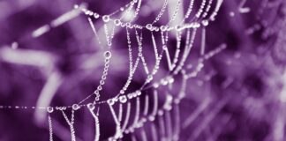 Gdzie kupić oryginalne wkłady Gillette Mach 3?