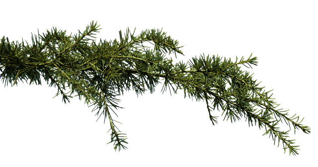 Co na zatkane gruczoły Meiboma? Co na zatkane gruczoły Meiboma?