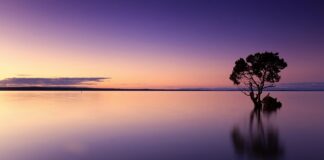 Czy wody toaletowe są trwałe?